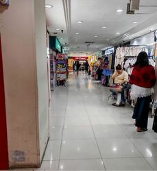 Lucky Plaza (D9), Shop House #599564621